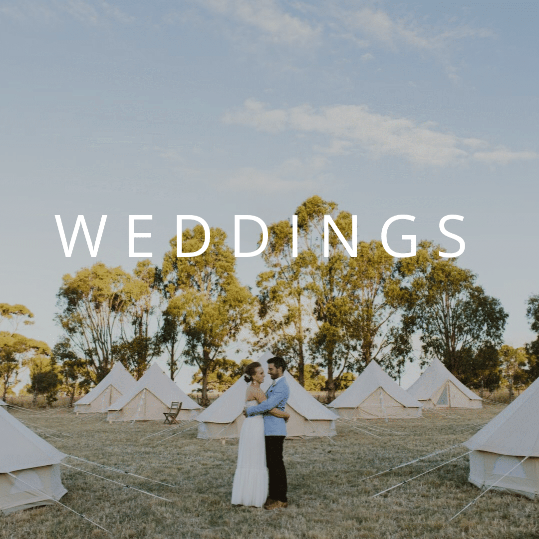 Button to view more information on wedding event hire