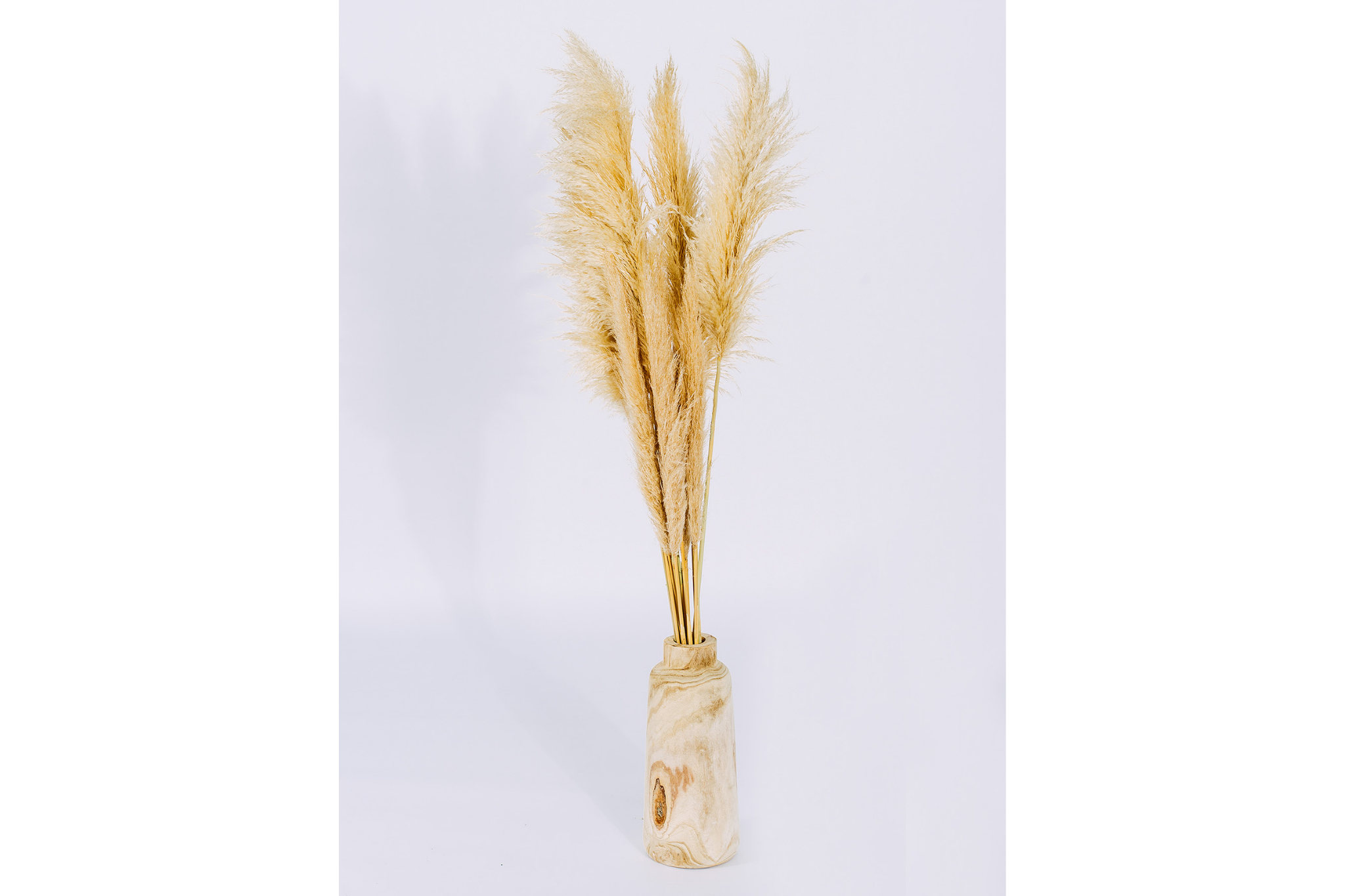 IMAGE OF PAMPAS GRASS IN WOODEN VASE